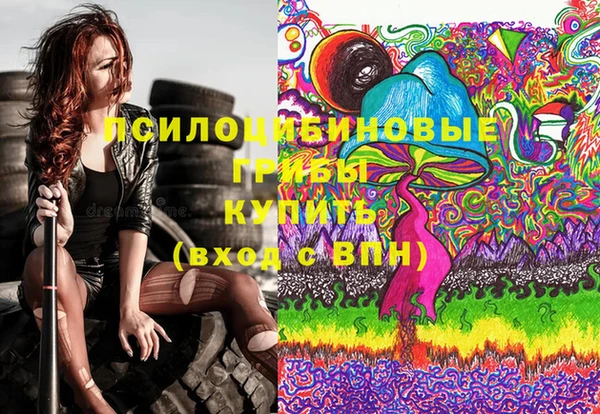 мескалин Новодвинск