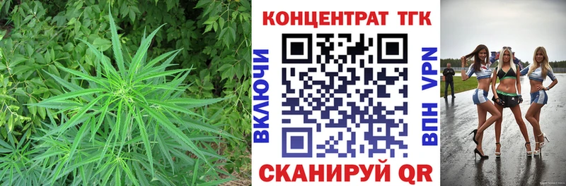 наркошоп  Горно-Алтайск  ТГК THC oil 